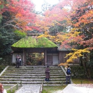     - 69 Photos u0026 12 Reviews - Buddhist Temples -        