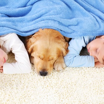 Enviro Care - Carpet Cleaning Near Me Enviro Care - Carpet Cleaning Near Me