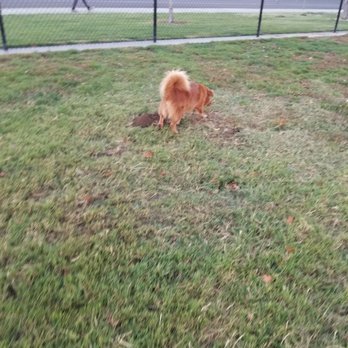 Turlock Dog Park - Dog Parks Near Me - Turlock, California Turlock Dog Park - Dog Parks Near Me - Turlock, California