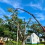 Aaron's Perfect Cut Tree Service
