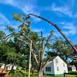Aaron's Perfect Cut Tree Service