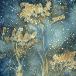 The Artists’ Gallery - Cyanotype by Vikki Gray
