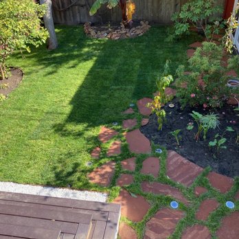 Lucky Star Landscaping - 6. Done! sod installed. - Landscaping Near Me - San Leandro, California Lucky Star Landscaping - 6. Done! sod installed. - Landscaping Near Me - San Leandro, California
