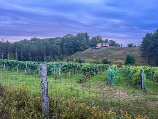 Leigh’s Garden Winery by null