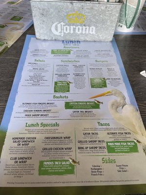 Menu photo 5 The Tiki Bar and Grill Clewiston, FL Menu photo 5 The Tiki Bar and Grill Clewiston, FL