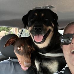 Montevalle Park - My pups enjoyed our latest adventure!