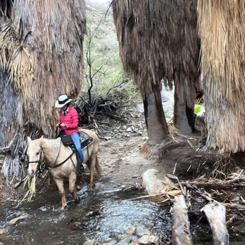 Smoke Tree Stables - Crossing a creek in Murray Canyon. - Horseback Riding Near Me - Palm Springs, California Smoke Tree Stables - Crossing a creek in Murray Canyon. - Horseback Riding Near Me - Palm Springs, California