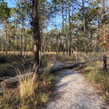 Wekiwa Springs State Park - Parks Near Me - Apopka, Florida Wekiwa Springs State Park - Parks Near Me - Apopka, Florida