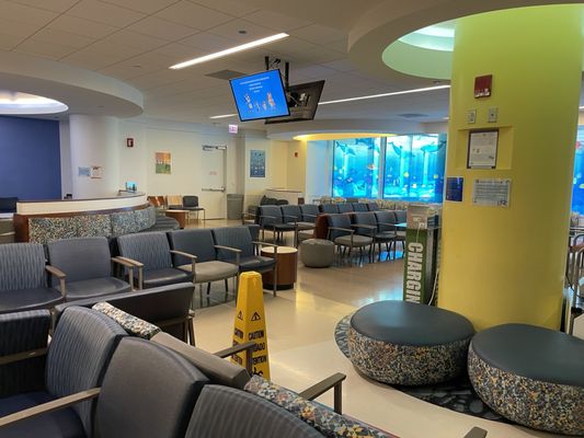 Ann & Robert H. Lurie Children's Hospital of Chicago by null