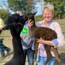 Northern Solstice Alpaca Farm