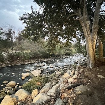 River View Grill & Bar - River view - Bars Near Me - Three Rivers, California River View Grill & Bar - River view - Bars Near Me - Three Rivers, California