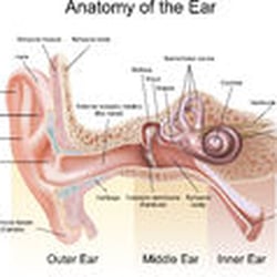 Peak Physical Therapy and Sports Performance - Vestibular Rehab for dizziness