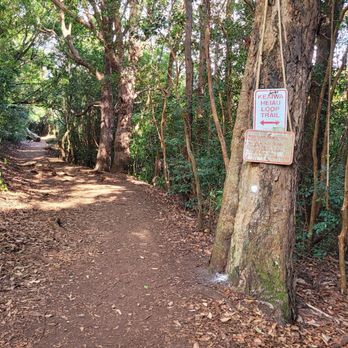 Keaiwa Heiau State Park - Hiking Near Me - Aiea, Hawaii Keaiwa Heiau State Park - Hiking Near Me - Aiea, Hawaii