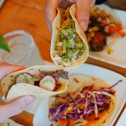 Green Coyote Cantina - Tacos!