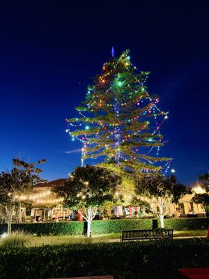 Fishbone Kitchen by null