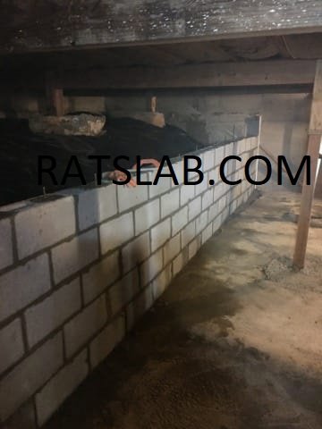 Slide of RatSlab Crawl Space Encapsulation & Waterproofing Services