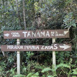 Tanamá River Adventures