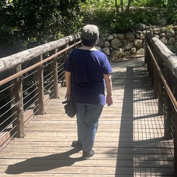 Santa Barbara Botanic Garden - not looking back, but moving forward / on the bridge. - Botanical Gardens Near Me - Santa Barbara, California Santa Barbara Botanic Garden - not looking back, but moving forward / on the bridge. - Botanical Gardens Near Me - Santa Barbara, California