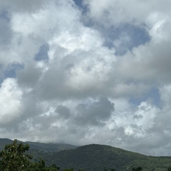 Carabali Rainforest Park - Horseback Riding Near Me - Luquillo, Puerto Rico Carabali Rainforest Park - Horseback Riding Near Me - Luquillo, Puerto Rico