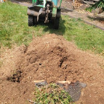 Aztec Tree Service - Grinding down the stump - Tree Services Near Me