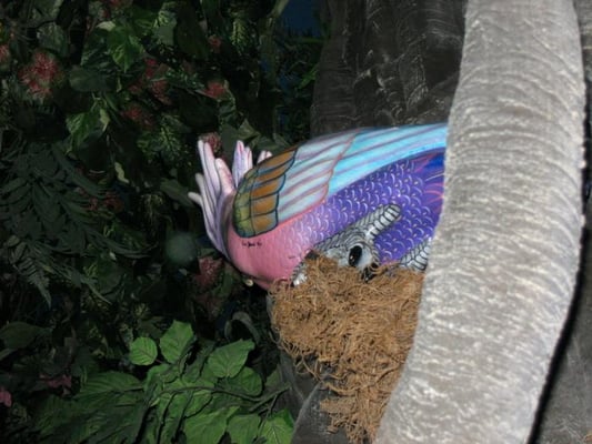 Rainforest Cafe by null