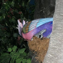 Rainforest Cafe - Random decoration