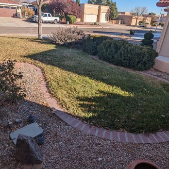 Trees R' Us - Before picture - Tree Services Near Me - Albuquerque, New Mexico