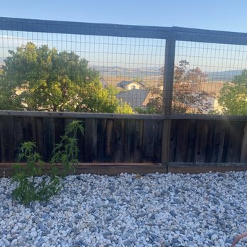 Garden - After-Fence fixed! - Gardeners Near Me Garden - After-Fence fixed! - Gardeners Near Me