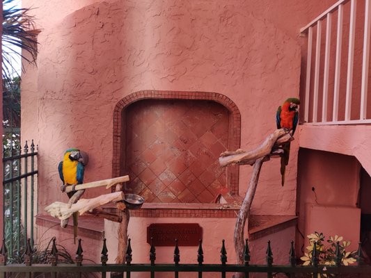 The Inn at Cocoa Beach by null