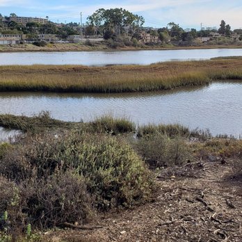 Famosa Slough - Beautiful! - Hiking Near Me - San Diego, California