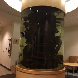 Mary Bridge Pediatric Urgent Care