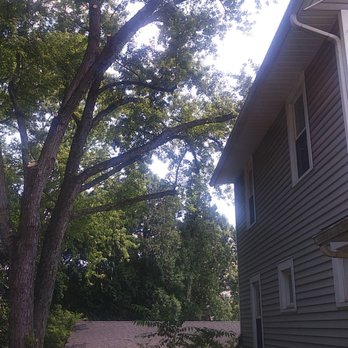 Taylor Tree & Stump Removal - Did a wonderful job and cleaned up with no issues. VERY reasonable prices too. Highly recommended - Tree Services Near Me Taylor Tree & Stump Removal - Did a wonderful job and cleaned up with no issues. VERY reasonable prices too. Highly recommended - Tree Services Near Me