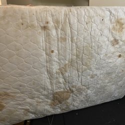 Comfort Suites Atlanta Airport - The pullout couch mattress