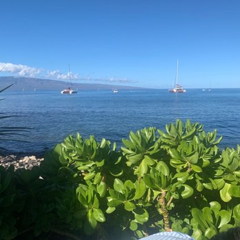 Mala Ocean Tavern - Views from every where!!! - Seafood Near Me - Lahaina, Hawaii Mala Ocean Tavern - Views from every where!!! - Seafood Near Me - Lahaina, Hawaii