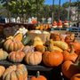 Photo of Rick's Farmers Market & Firewood
