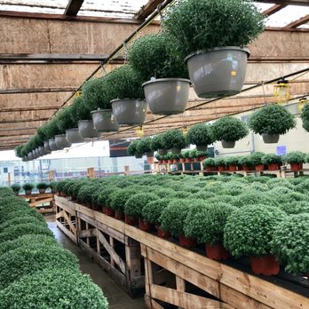Fonces Produce - a variety of potted plants - Farmers Market Near Me - Wellsburg, West Virginia