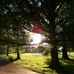 Grovelands Park - The sun will set soon on Grovelands Park