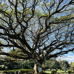 Liliuokalani Gardens