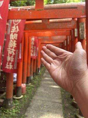 Sasuke Inari Shrine by null