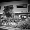 iTalico gift card