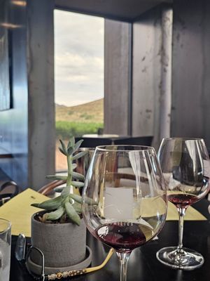 Los Milics Vineyards by null