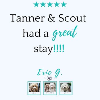 Leashes And Leisure - 5 Star Review! - Pet Boarding Near Me Leashes And Leisure - 5 Star Review! - Pet Boarding Near Me