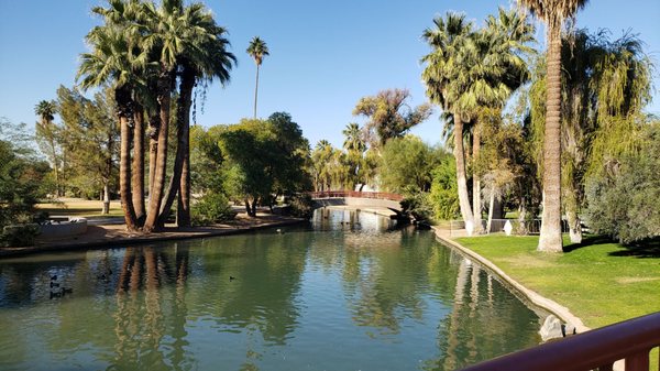 Encanto Park by null