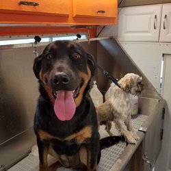 Caniland Grooming - a big and small brother