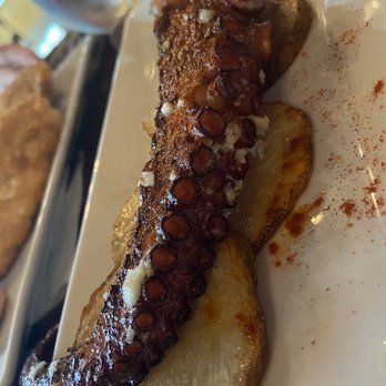 Havana's Bar and Grill - Octopus - Puerto Rican Near Me - Arecibo, Puerto Rico