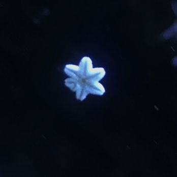 Austin Aquarium - Aquariums Near Me - Austin, Texas