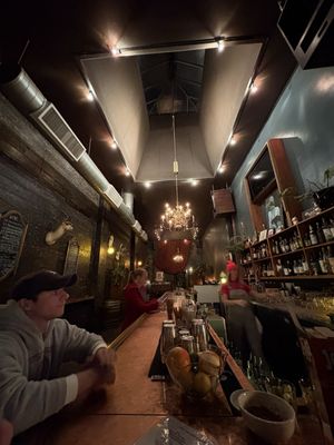 The Cat House by null