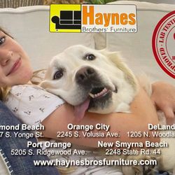 Haynes Brothers Furniture