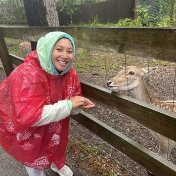 York Wild Kingdom - Amusement Parks Near Me - York, Maine