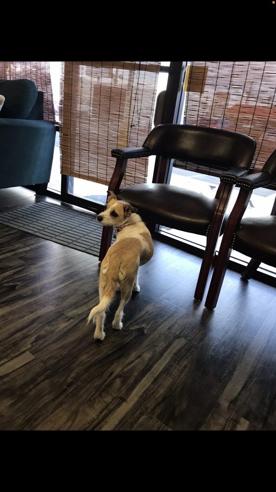 Photos of TAXES BY MARLENE Updated August 2024 25 Photos & 170